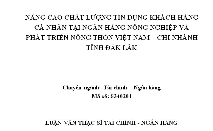 Nâng cao chất lượng tín dụng khách hàng cá nhân tại Ngân hàng Nông nghiệp và Phát triển Nông thôn Việt Nam Chi nhánh Đắk Lắk