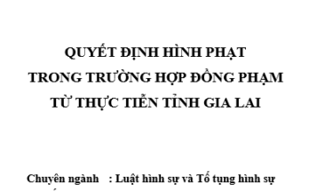 Quyết định hình phạt trong trường hợp đồng phạm từ thực tiễn
