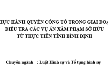 Thực hành quyền công tố trong giai đoạn điều tra các vụ án xâm phạm sở hữu