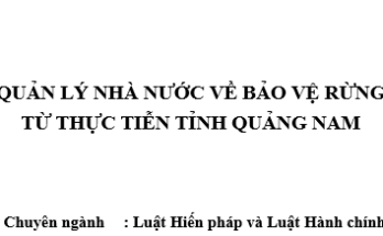 Quản lý Nhà nước về bảo vệ rừng từ thực tiễn tỉnh Quảng Nam