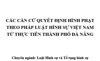 Các căn cứ quyết định hình phạt theo pháp luật hình sự Việt Nam