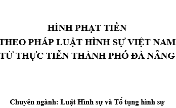 Hình phạt tiền theo pháp luật hình sự Việt Nam từ thực tiễn thành phố Đà Nẵng