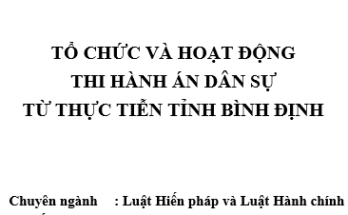 Tổ chức và hoạt động Thi hành án dân sự từ thực tiễn tỉnh Bình Định