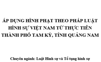 Áp dụng hình phạt theo pháp luật hình sự Việt Nam từ thực tiễn