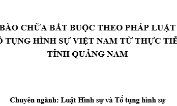Bào chữa bắt buộc theo pháp luật tố tụng hình sự Việt Nam