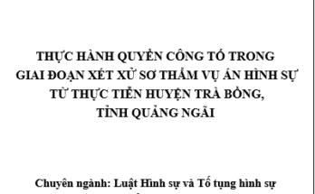 Thực hành quyền công tố trong giai đoạn xét xử sơ thẩm vụ án hình sự