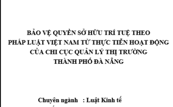 Bảo vệ quyền sở hữu trí tuệ theo pháp luật Việt Nam