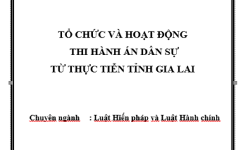 Tổ chức và hoạt động thi hành án dân sự từ thực tiễn tỉnh Gia Lai