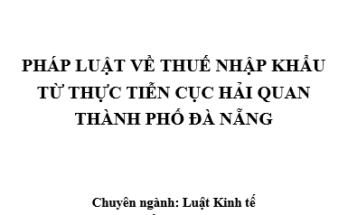 Pháp luật về thuế nhập khẩu từ thực tiễn của Cục Hải quan TP Đà Nẵng