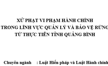 Xử phạt vi phạm hành chính trong lĩnh vực quản lý và bảo vệ rừng