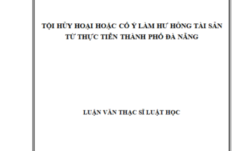 Tội hủy hoại hoặc cố ý làm hư hỏng tài sản từ thực tiễn
