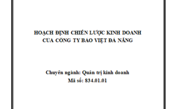 Hoạch định chiến lược kinh doanh cho Công Ty Bảo Việt Đà Nẵng