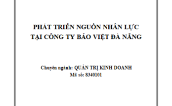 Phát triển nguồn nhân lực tại Công Ty Bảo Việt Đà Nẵng