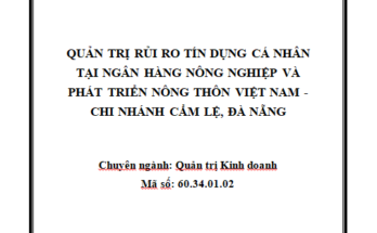 Quản trị rủi ro tín dụng cá nhân tại Ngân hàng Nông nghiệp và Phát triển Nông thôn