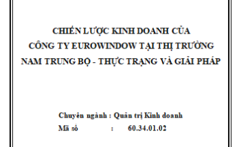 CHIẾN LƯỢC KINH DOANH CÔNG TY EUROWINDOW