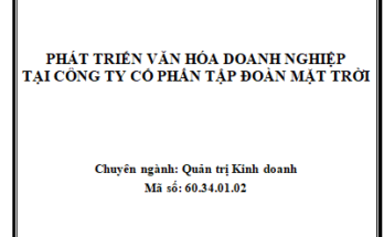 PHÁT TRIỂN VĂN HÓA DOANH NGHIỆP TẠI CÔNG TY CỔ PHẦN TẬP ĐOÀN MẶT TRỜI