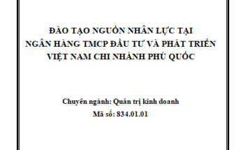 ĐÀO TẠO NGUỒN NHÂN LỰC TẠI NGÂN HÀNG TMCP ĐẦU TƯ VÀ PHÁT TRIỂN VIỆT NAM