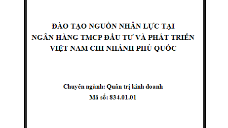 ĐÀO TẠO NGUỒN NHÂN LỰC TẠI NGÂN HÀNG TMCP ĐẦU TƯ VÀ PHÁT TRIỂN VIỆT NAM