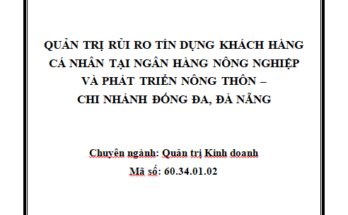 Quản trị rủi ro tín dụng khách hàng cá nhân tại ngân hàng Agribank