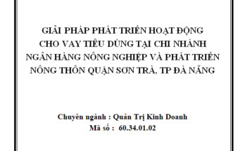 Hoàn thiện tổ chức công tác kế toán tại Bệnh viện Phụ sản-Nhi Đà Nẵng