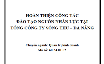 Hoàn thiện công tác đào tạo nguồn nhân lực tại Tổng Công ty Sông Thu