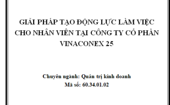 Giải pháp tạo động lực làm việc cho nhân viên tại Công ty CP Vinaconex 25