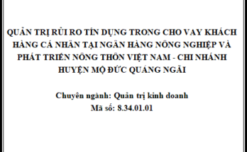 Quản trị rủi ro tín dụng trong cho vay khách hàng cá nhân tại Ngân hàng