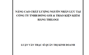 Nâng cao chất lượng nguồn nhân lực tại công ty TNHH