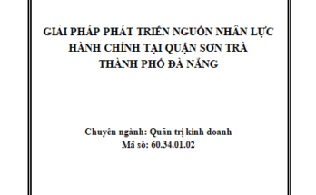 Giải pháp phát triển NNL hành chính tại quận Sơn Trà