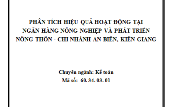 Phân tích hiệu quả hoạt động tại Ngân hàng Nông Nghiệp Và Phát Triển Nông Thôn