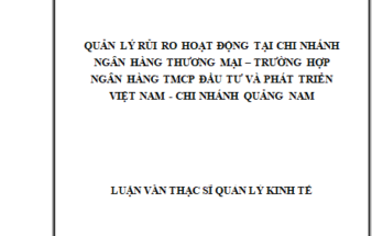 Quản lý rủi ro hoạt động tại chi nhánh thương mại – Trường hợp Ngân hàng Thương mại