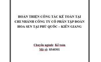 Hoàn thiện tổ chức công tác kế toán tại Chi nhánh Công ty