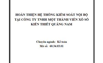 Hoàn thiện hệ thống kiểm soát nội bộ tại Công ty