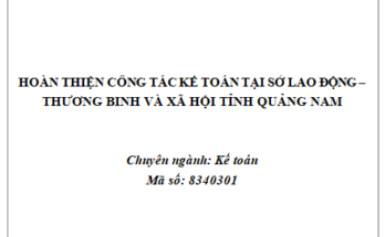 Hoàn thiện công tác kế toán tại Sở Lao động – Thương binh và Xã hội tỉnh Quảng Nam