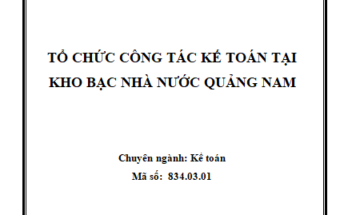 Tổ chức công tác kế toán tại Kho bạc Nhà nước Quảng Nam