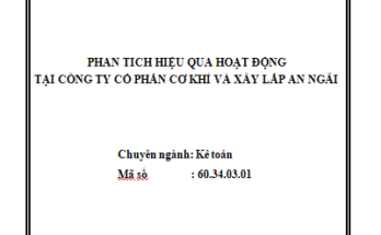 phân tích hiệu quả hoạt động tại công ty cổ phần cơ khí và xây lắp An Ngãi