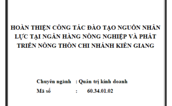 Hoàn thiện công tác đào tạo nguồn nhân lực tại Ngân hàng