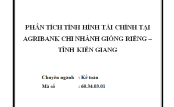 Phân tích tình hình tài chính tại Agribank chi nhánh Giồng Riềng