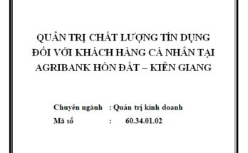 Quản trị chất lượng tín dụng đối với khách hàng cá nhân tại Agribank