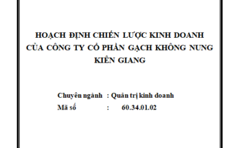 Hoạch định chiến lược kinh doanh của Công ty Cổ phần Gạch không nung