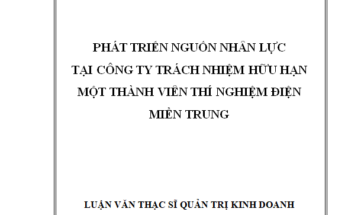 Phát triển nguồn nhân lực tại Công ty TNHH MTV Thí nghiệm Điện miền Trung
