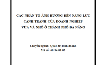Các nhân tố ảnh hưởng đến năng lực cạnh tranh của các doanh nghiệp vừa và nhỏ ở Thành phố Đà Nẵng