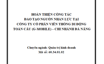 Hoàn thiện công tác đào tạo nguồn nhân lực tại Công ty cổ phần viễn thông di động toàn Cầu