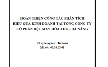 Hoàn thiện công tác phân tích hiệu quả kinh doanh tại Tổng Công ty