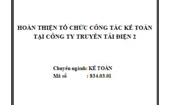 Hoàn thiện tổ chức công tác kế toán tại công ty Truyền tải điện 2