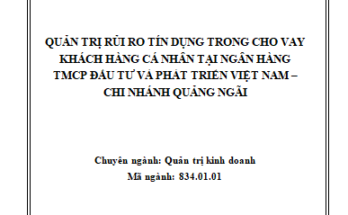 Quản trị rủi ro tín dụng trong cho vay khách hàng cá nhân tại Ngân hàng