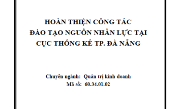 Hoàn thiện công tác Đào tạo nguồn nhân lực tại Cục Thống kê TP. Đà Nẵng