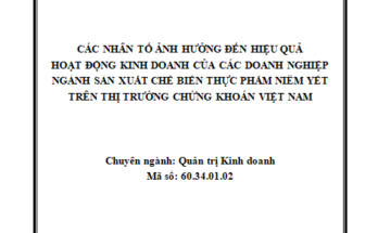 Các nhân tố ảnh hưởng đến hiệu quả hoạt động kinh doanh của các doanh nghiệp