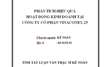 Phân tích hiệu quả hoạt động kinh doanh tại công ty