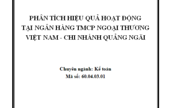Phân tích hiệu quả hoạt động tại Ngân hàng Thương mại Cổ phần Ngoại thương Việt Nam